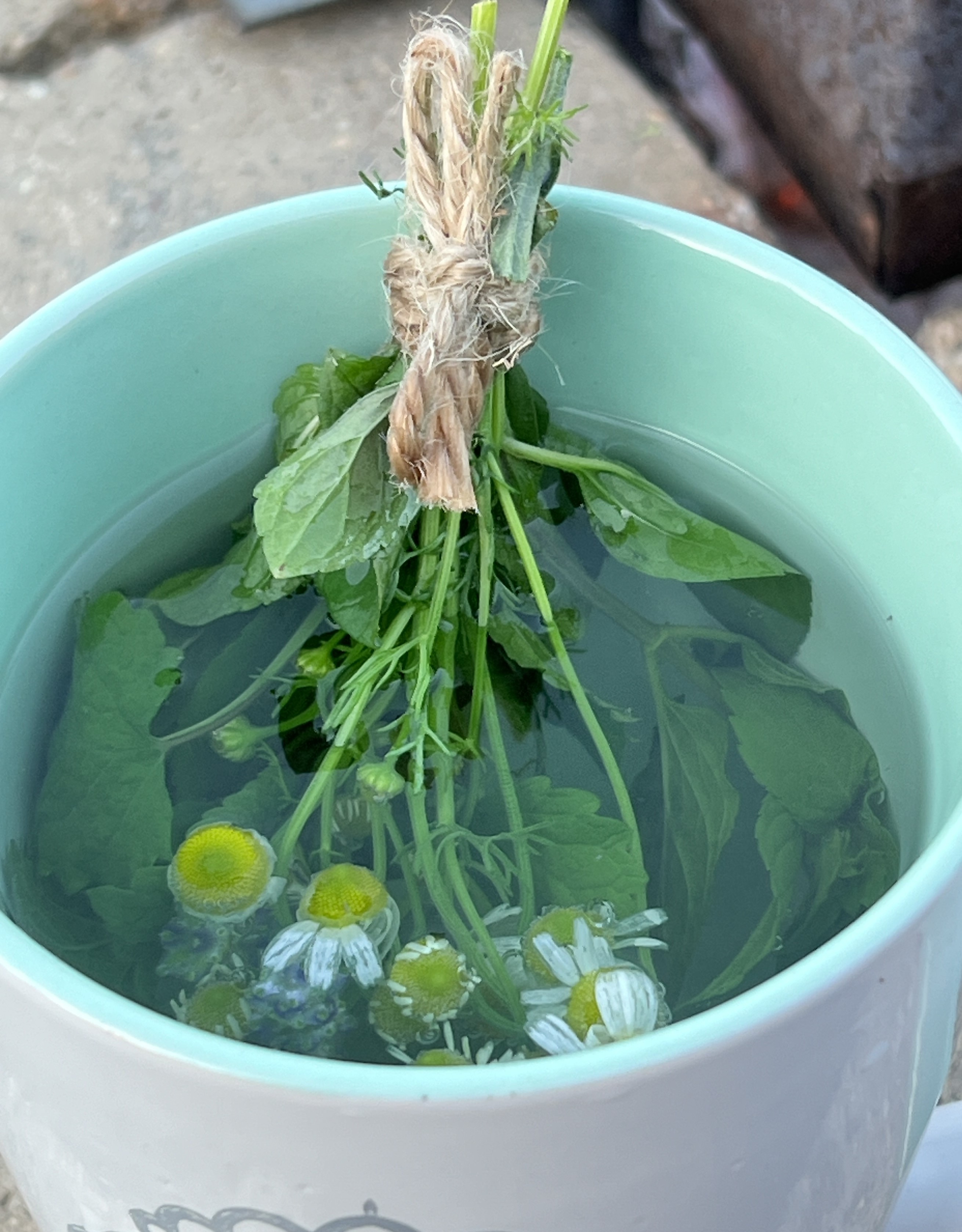 Cup a tea showing some of the many herbs grown by Jennifer. She uses them to engage your senses and activate your subconscious memories.